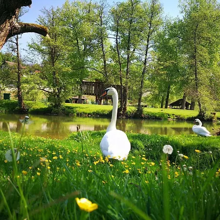 Gostisce Koren Zuzemberk