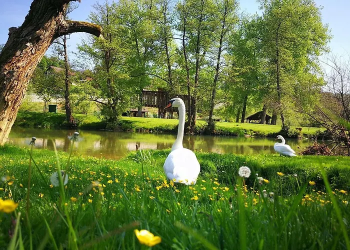 Gostisce Koren Zuzemberk
